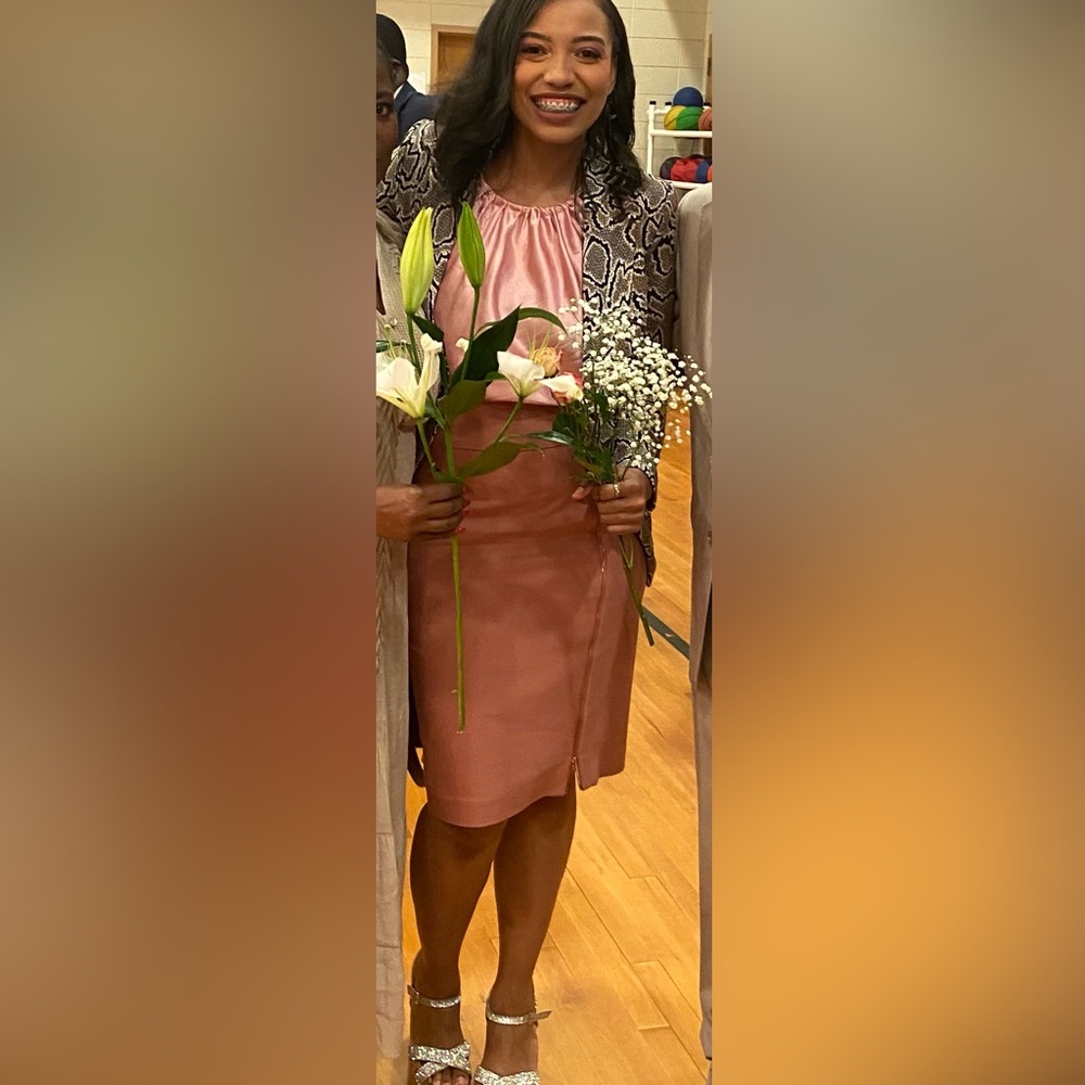 Express Mauve Pencil Skirt